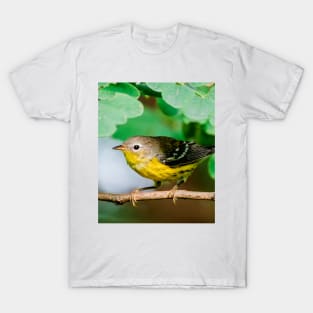 Yellow Warbler, Bird Photography T-Shirt